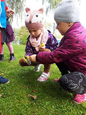 Grafika #35: 26.09.2019 Mały badacz razem z książką poznaje świat Gr II