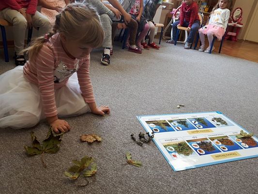 Grafika #36: 26.09.2019 Mały badacz razem z książką poznaje świat Gr II