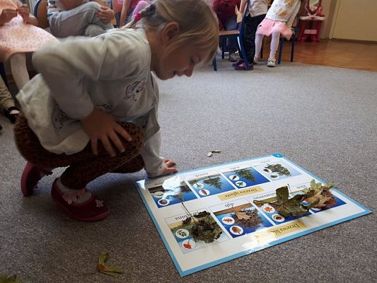 Grafika #38: 26.09.2019 Mały badacz razem z książką poznaje świat Gr II