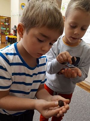 Grafika #42: 26.09.2019 Mały badacz razem z książką poznaje świat Gr II