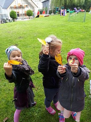 Grafika #45: 26.09.2019 Mały badacz razem z książką poznaje świat Gr II