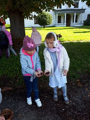 Grafika #47: 26.09.2019 Mały badacz razem z książką poznaje świat Gr II