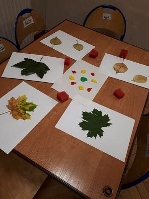 Grafika #49: 26.09.2019 Mały badacz razem z książką poznaje świat Gr II