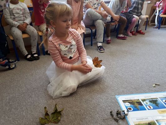 Grafika #51: 26.09.2019 Mały badacz razem z książką poznaje świat Gr II