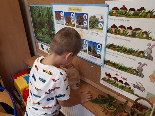 Grafika #57: 26.09.2019 Mały badacz razem z książką poznaje świat Gr II