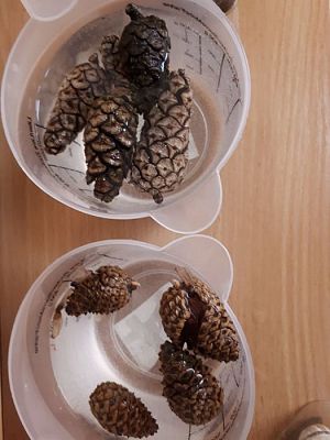 Grafika #61: 26.09.2019 Mały badacz razem z książką poznaje świat Gr II