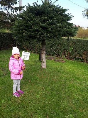 Grafika #63: 26.09.2019 Mały badacz razem z książką poznaje świat Gr II