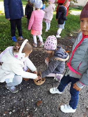 Grafika #65: 26.09.2019 Mały badacz razem z książką poznaje świat Gr II