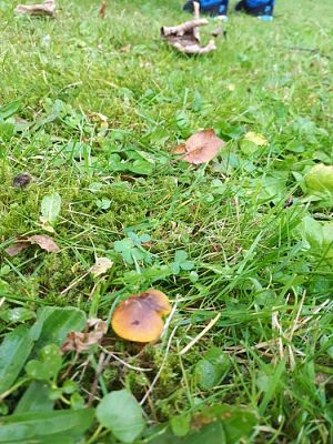 Grafika #67: 26.09.2019 Mały badacz razem z książką poznaje świat Gr II