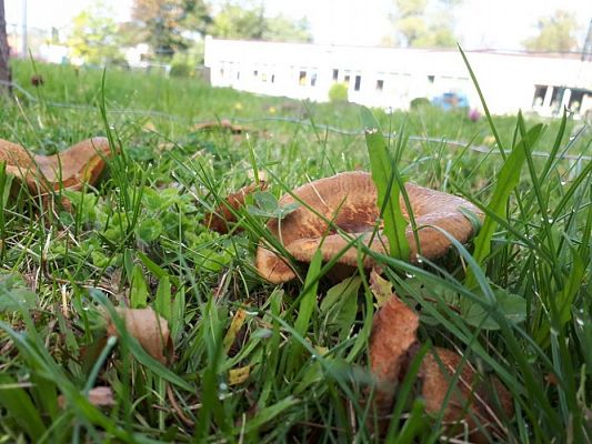 Grafika #70: 26.09.2019 Mały badacz razem z książką poznaje świat Gr II