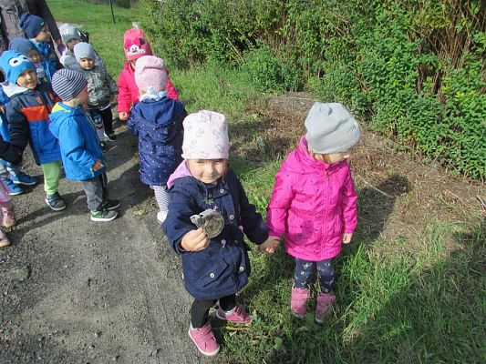 Grafika #72: 19.09.2019 Akcja "Sprzątanie Świata"