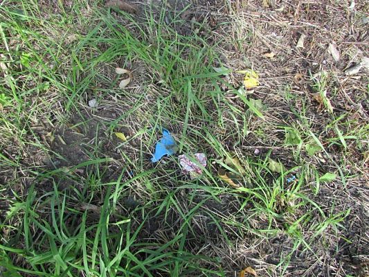 Grafika #73: 19.09.2019 Akcja "Sprzątanie Świata"