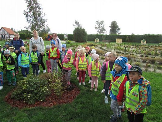 Grafika #11: 11.09.2019 Wycieczka do Parku Rozrywki i Labiryntu w Łebie cz.I