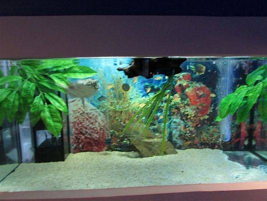 Grafika #0: 05.06.2019 Wycieczka do Łeby cz.II