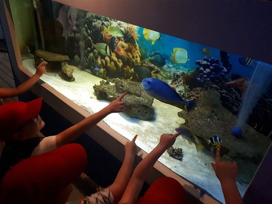 Grafika #55: 05.06.2019 Wycieczka do Łeby cz.II