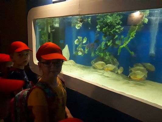 Grafika #58: 05.06.2019 Wycieczka do Łeby cz.II