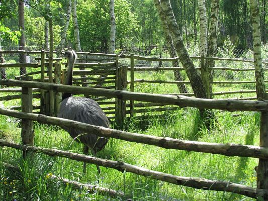 Grafika #0: 30.05.2019 Wycieczka do Doliny Charlotty cz.II