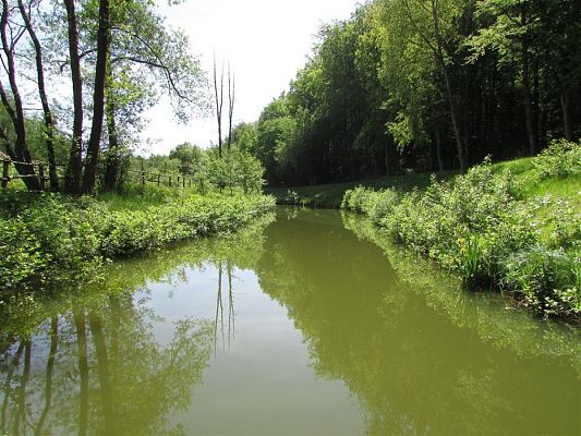 Grafika #4: 30.05.2019 Wycieczka do Doliny Charlotty cz.II