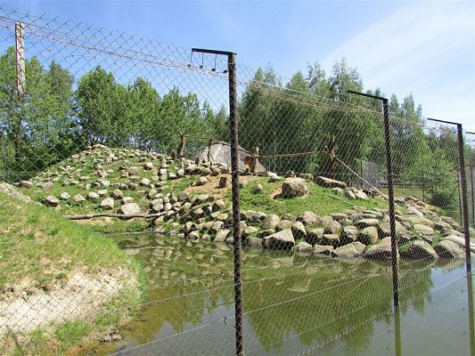 Grafika #5: 30.05.2019 Wycieczka do Doliny Charlotty cz.II