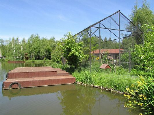 Grafika #11: 30.05.2019 Wycieczka do Doliny Charlotty cz.II