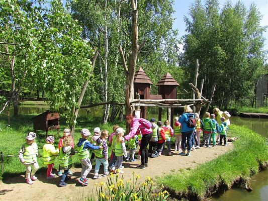 Grafika #15: 30.05.2019 Wycieczka do Doliny Charlotty cz.II