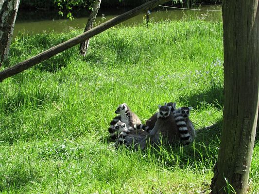 Grafika #16: 30.05.2019 Wycieczka do Doliny Charlotty cz.II