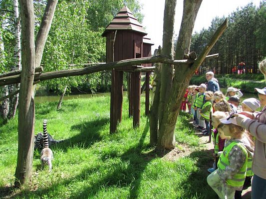 Grafika #17: 30.05.2019 Wycieczka do Doliny Charlotty cz.II