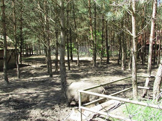 Grafika #33: 30.05.2019 Wycieczka do Doliny Charlotty cz.II