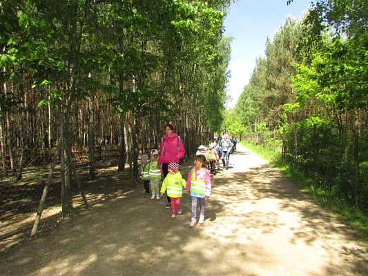 Grafika #35: 30.05.2019 Wycieczka do Doliny Charlotty cz.II