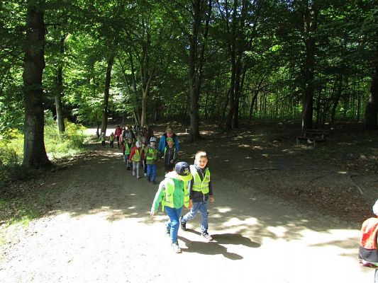 Grafika #37: 30.05.2019 Wycieczka do Doliny Charlotty cz.II