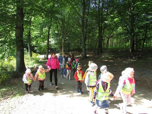 Grafika #38: 30.05.2019 Wycieczka do Doliny Charlotty cz.II