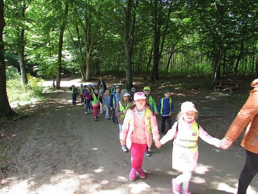 Grafika #39: 30.05.2019 Wycieczka do Doliny Charlotty cz.II