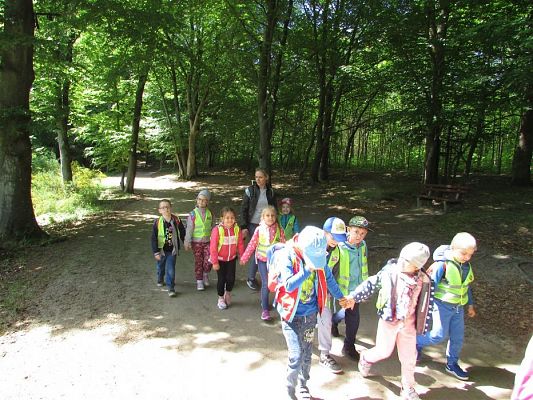 Grafika #40: 30.05.2019 Wycieczka do Doliny Charlotty cz.II