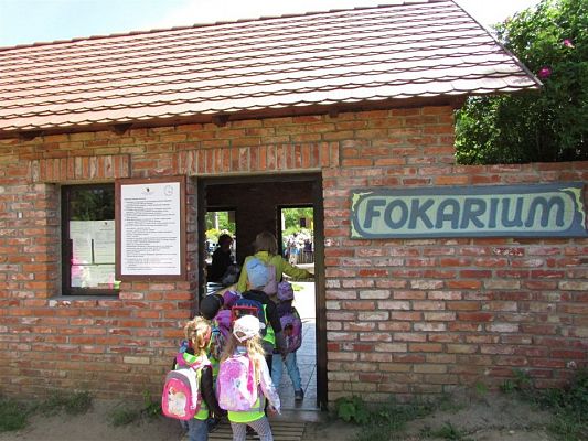 Grafika #44: 30.05.2019 Wycieczka do Doliny Charlotty cz.II