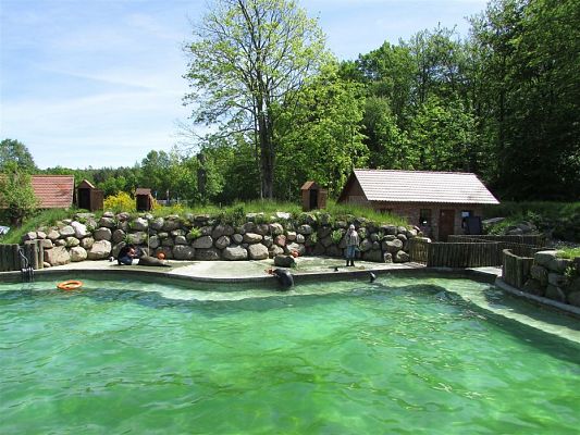 Grafika #45: 30.05.2019 Wycieczka do Doliny Charlotty cz.II