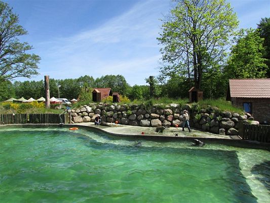 Grafika #46: 30.05.2019 Wycieczka do Doliny Charlotty cz.II