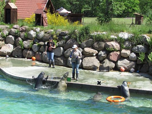 Grafika #57: 30.05.2019 Wycieczka do Doliny Charlotty cz.II