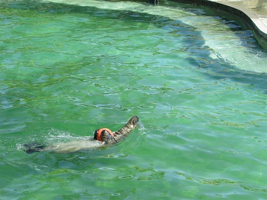 Grafika #58: 30.05.2019 Wycieczka do Doliny Charlotty cz.II