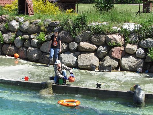 Grafika #59: 30.05.2019 Wycieczka do Doliny Charlotty cz.II