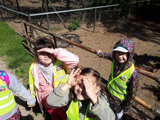 Grafika #61: 30.05.2019 Wycieczka do Doliny Charlotty cz.II