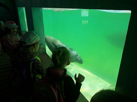 Grafika #62: 30.05.2019 Wycieczka do Doliny Charlotty cz.II