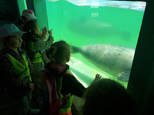 Grafika #63: 30.05.2019 Wycieczka do Doliny Charlotty cz.II