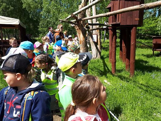 Grafika #67: 30.05.2019 Wycieczka do Doliny Charlotty cz.II