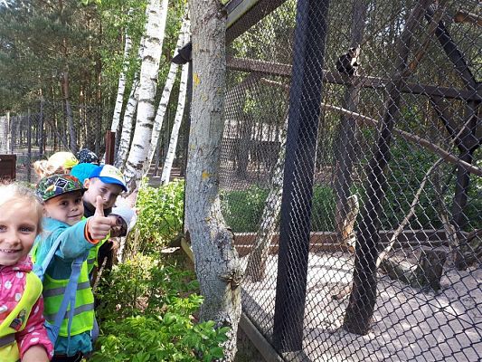 Grafika #70: 30.05.2019 Wycieczka do Doliny Charlotty cz.II