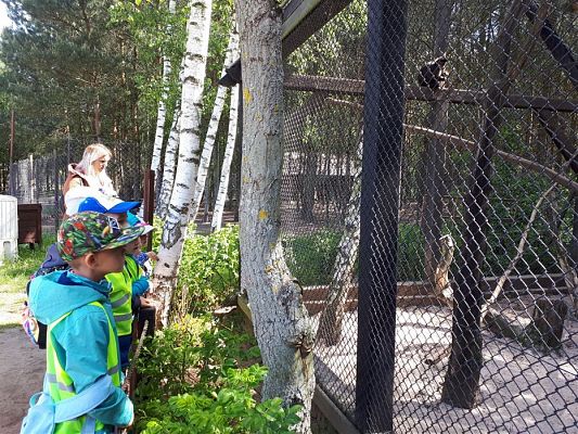 Grafika #76: 30.05.2019 Wycieczka do Doliny Charlotty cz.II