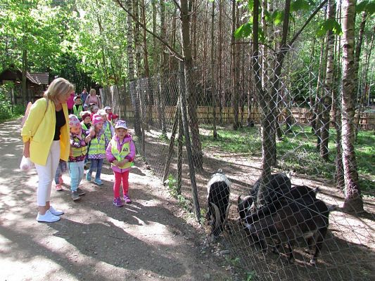 Grafika #7: 30.05.2019 Wycieczka do Doliny Charlotty cz.I