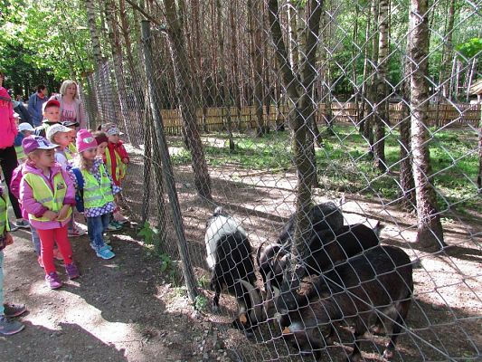 Grafika #8: 30.05.2019 Wycieczka do Doliny Charlotty cz.I