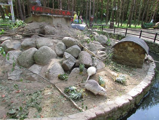 Grafika #11: 30.05.2019 Wycieczka do Doliny Charlotty cz.I