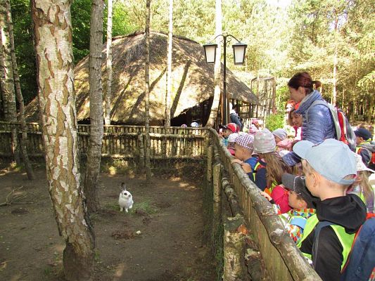 Grafika #13: 30.05.2019 Wycieczka do Doliny Charlotty cz.I