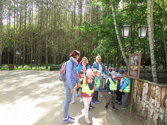 Grafika #18: 30.05.2019 Wycieczka do Doliny Charlotty cz.I